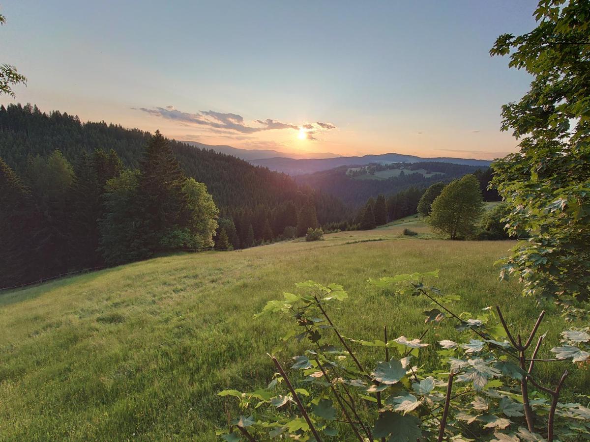 Villa Forsthaus Pracken Wolfsberg Esterno foto